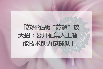 苏州征战“苏超”放大招：公开征集人工智能技术助力足球队
