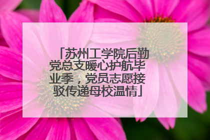 苏州工学院后勤党总支暖心护航毕业季，党员志愿接驳传递母校温情