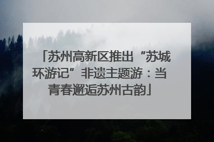 苏州高新区推出“苏城环游记”非遗主题游：当青春邂逅苏州古韵