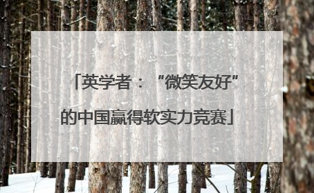 英学者：“微笑友好”的中国赢得软实力竞赛
