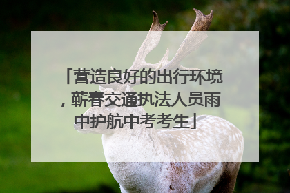 营造良好的出行环境，蕲春交通执法人员雨中护航中考考生