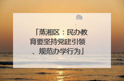 蒸湘区：民办教育要坚持党建引领、规范办学行为
