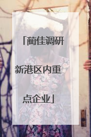 蔺佳调研新港区内重点企业