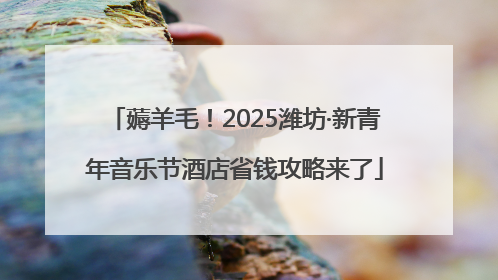 薅羊毛！2025潍坊·新青年音乐节酒店省钱攻略来了
