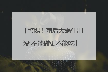 警惕！雨后大蜗牛出没 不能碰更不能吃