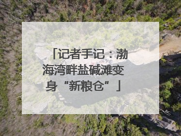 记者手记：渤海湾畔盐碱滩变身“新粮仓”