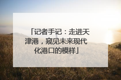 记者手记：走进天津港，窥见未来现代化港口的模样