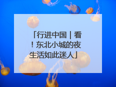 行进中国｜看！东北小城的夜生活如此迷人