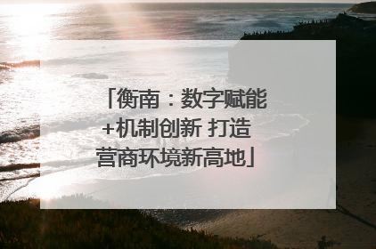 衡南：数字赋能+机制创新 打造营商环境新高地