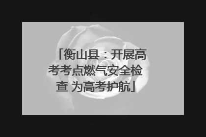衡山县：开展高考考点燃气安全检查 为高考护航