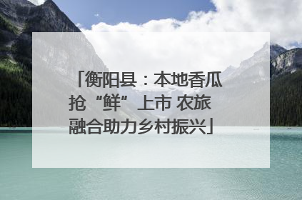 衡阳县：本地香瓜抢“鲜”上市 农旅融合助力乡村振兴