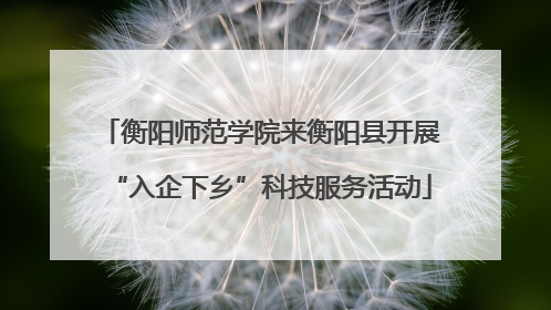 衡阳师范学院来衡阳县开展“入企下乡”科技服务活动