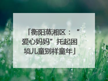 衡阳蒸湘区：“爱心妈妈”托起困境儿童别样童年