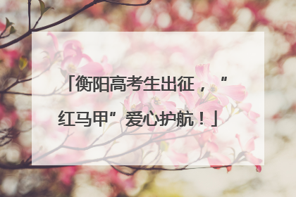 衡阳高考生出征，“红马甲”爱心护航！