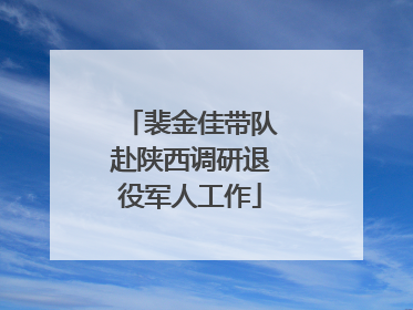 裴金佳带队赴陕西调研退役军人工作