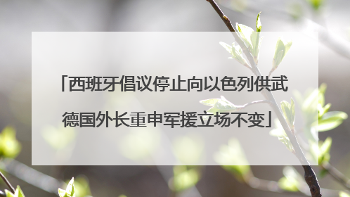 西班牙倡议停止向以色列供武 德国外长重申军援立场不变
