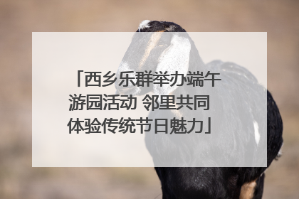 西乡乐群举办端午游园活动 邻里共同体验传统节日魅力