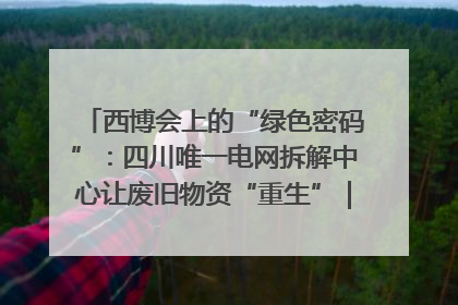 西博会上的“绿色密码”：四川唯一电网拆解中心让废旧物资“重生”｜西博寻“新”记