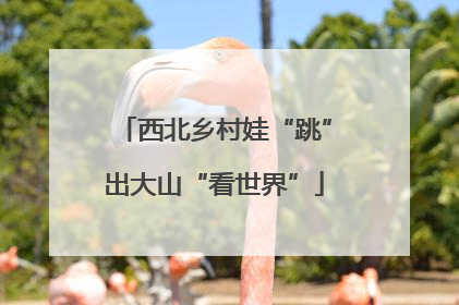 西北乡村娃“跳”出大山“看世界”