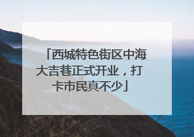 西城特色街区中海大吉巷正式开业，打卡市民真不少
