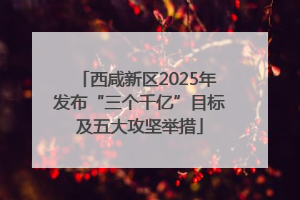 西咸新区2025年发布“三个千亿”目标及五大攻坚举措