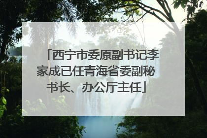 西宁市委原副书记李家成已任青海省委副秘书长、办公厅主任