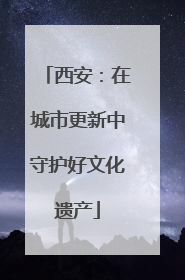西安：在城市更新中守护好文化遗产