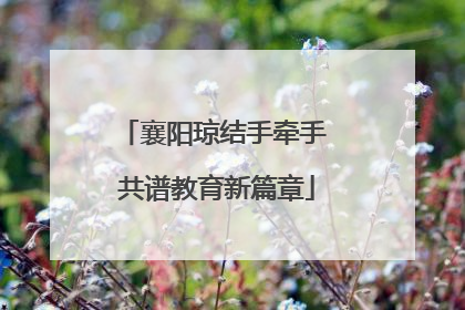 襄阳琼结手牵手 共谱教育新篇章