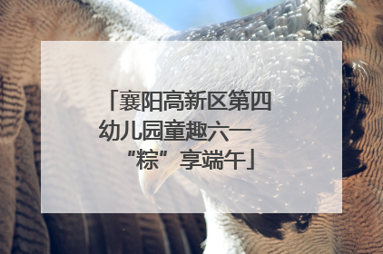 襄阳高新区第四幼儿园童趣六一 “粽”享端午