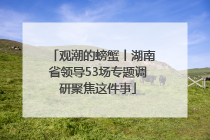 观潮的螃蟹丨湖南省领导53场专题调研聚焦这件事