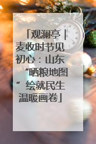 观澜亭｜麦收时节见初心：山东“晒粮地图”绘就民生温暖画卷