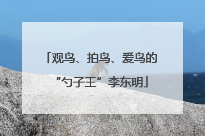观鸟、拍鸟、爱鸟的“勺子王”李东明