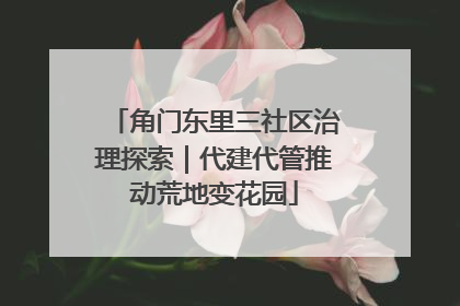 角门东里三社区治理探索｜代建代管推动荒地变花园