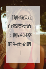 解码保定自然博物馆：跨越时空的生命交响