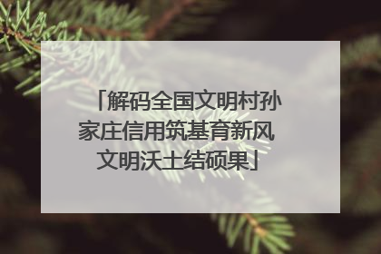 解码全国文明村孙家庄信用筑基育新风文明沃土结硕果