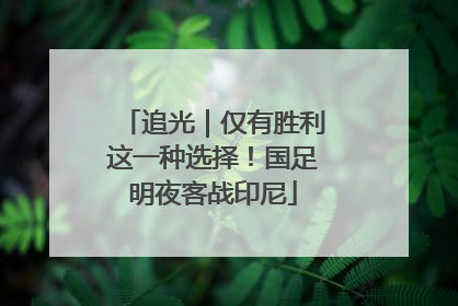 追光｜仅有胜利这一种选择！国足明夜客战印尼