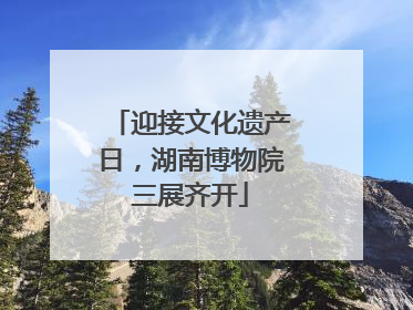 迎接文化遗产日，湖南博物院三展齐开