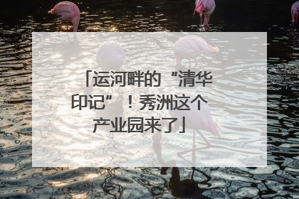 运河畔的“清华印记”！秀洲这个产业园来了
