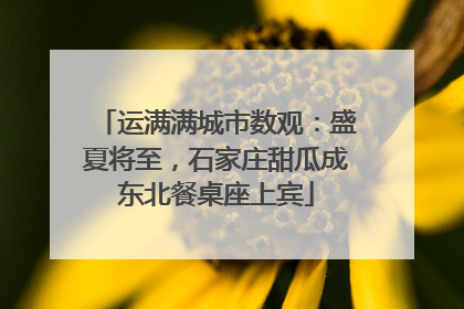 运满满城市数观：盛夏将至，石家庄甜瓜成东北餐桌座上宾