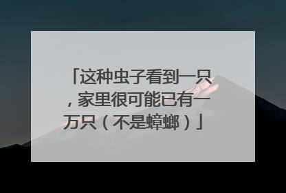 这种虫子看到一只，家里很可能已有一万只（不是蟑螂）