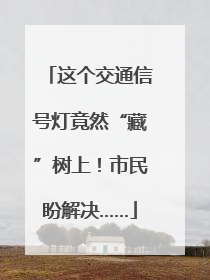 这个交通信号灯竟然“藏”树上！市民盼解决……