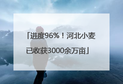 进度96%！河北小麦已收获3000余万亩