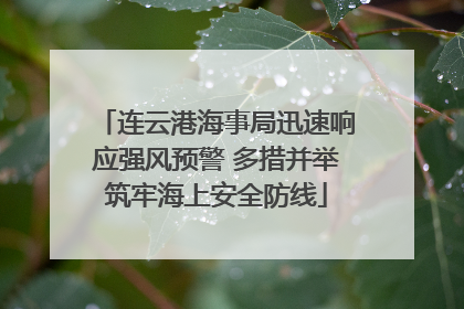 连云港海事局迅速响应强风预警 多措并举筑牢海上安全防线