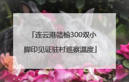 连云港赣榆300双小脚印见证驻村巡察温度