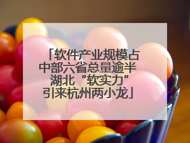 软件产业规模占中部六省总量逾半 湖北“软实力”引来杭州两小龙