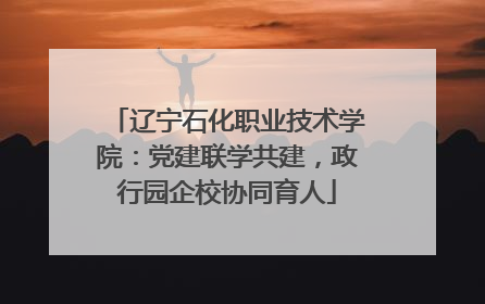 辽宁石化职业技术学院：党建联学共建，政行园企校协同育人