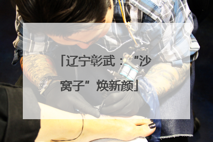辽宁彰武：“沙窝子”焕新颜