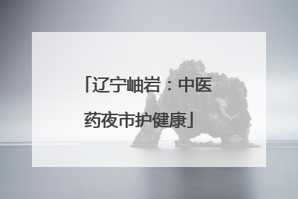 辽宁岫岩：中医药夜市护健康