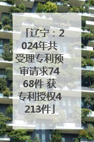 辽宁：2024年共受理专利预审请求7468件 获专利授权4213件
