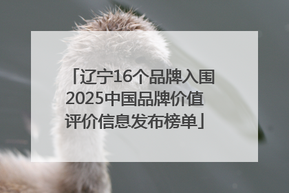 辽宁16个品牌入围2025中国品牌价值评价信息发布榜单